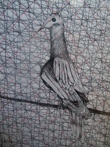 once the most populous bird in the world, it went extinct in 1914