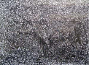 ancestor of the modern cow, went extinct in the 1600s